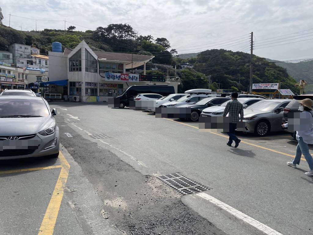 반려견 동반 안되는 바람의 언덕