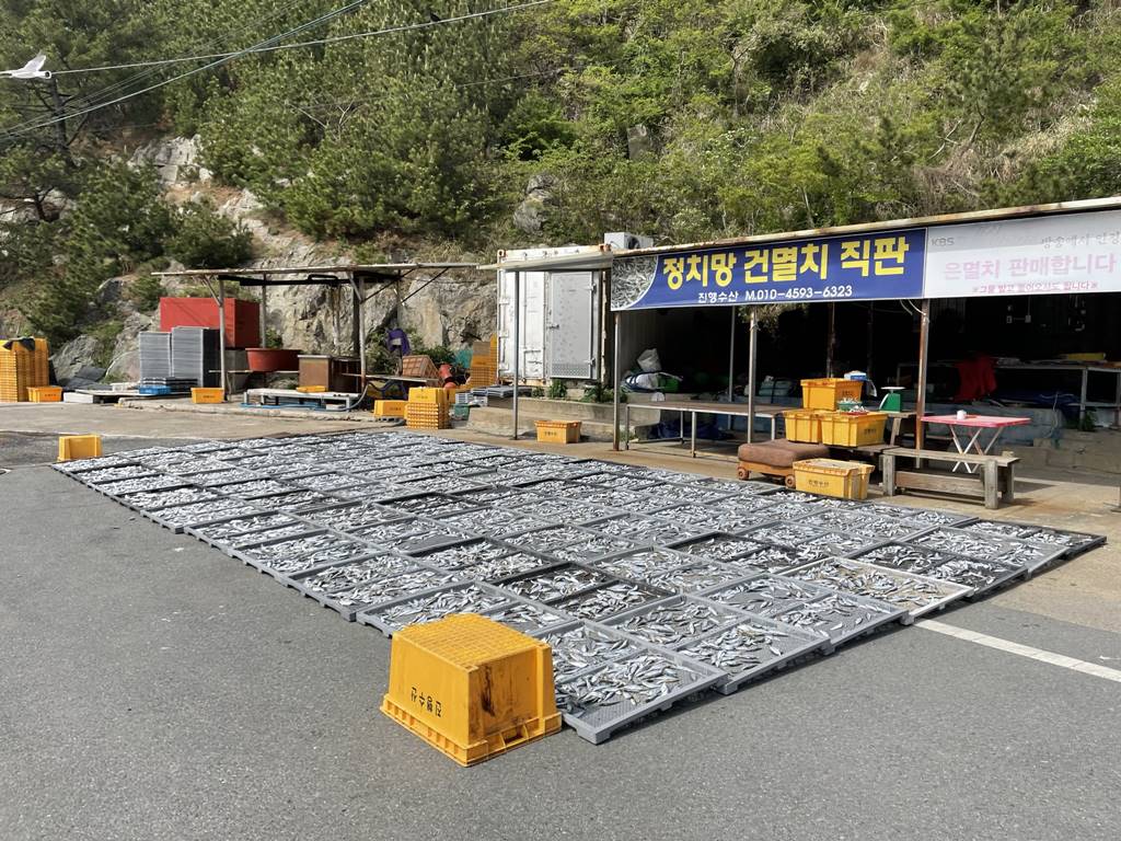 반려견 동반 안되는 바람의 언덕