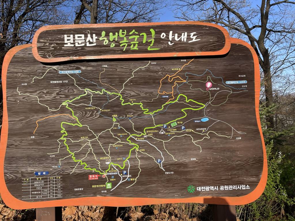대전 벚꽃 구경하기 좋은 보문산 보문대 ( 반려견 동반 가능)