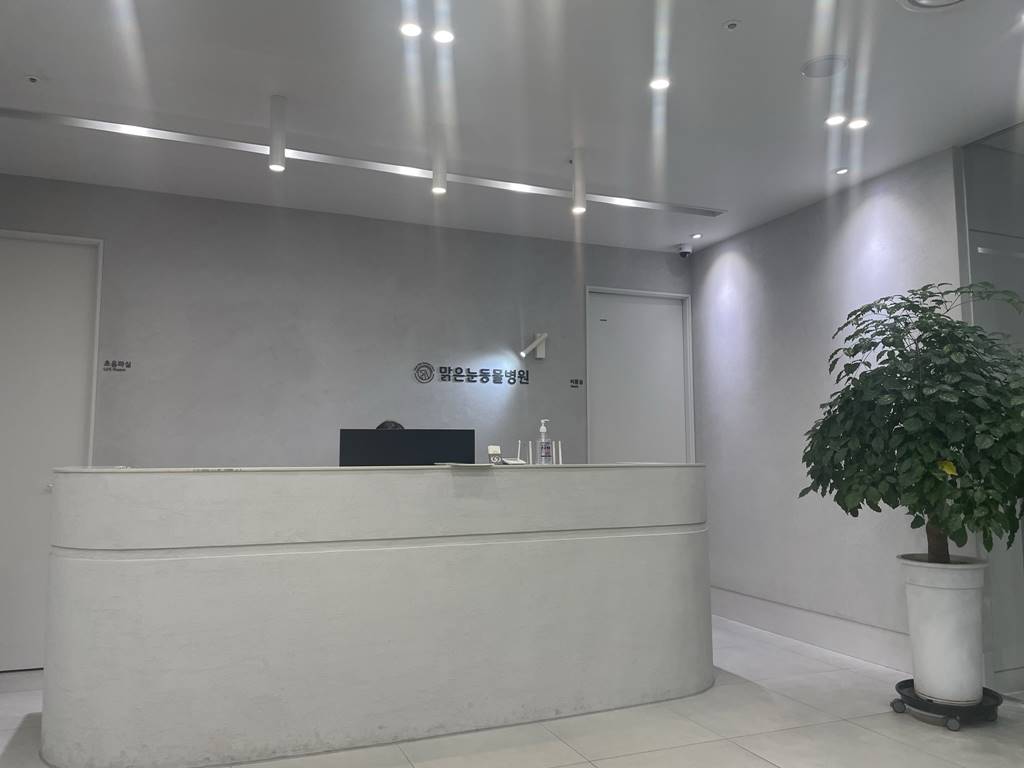 대전 맑은눈 동물병원 강아지 안과 전문 병원
