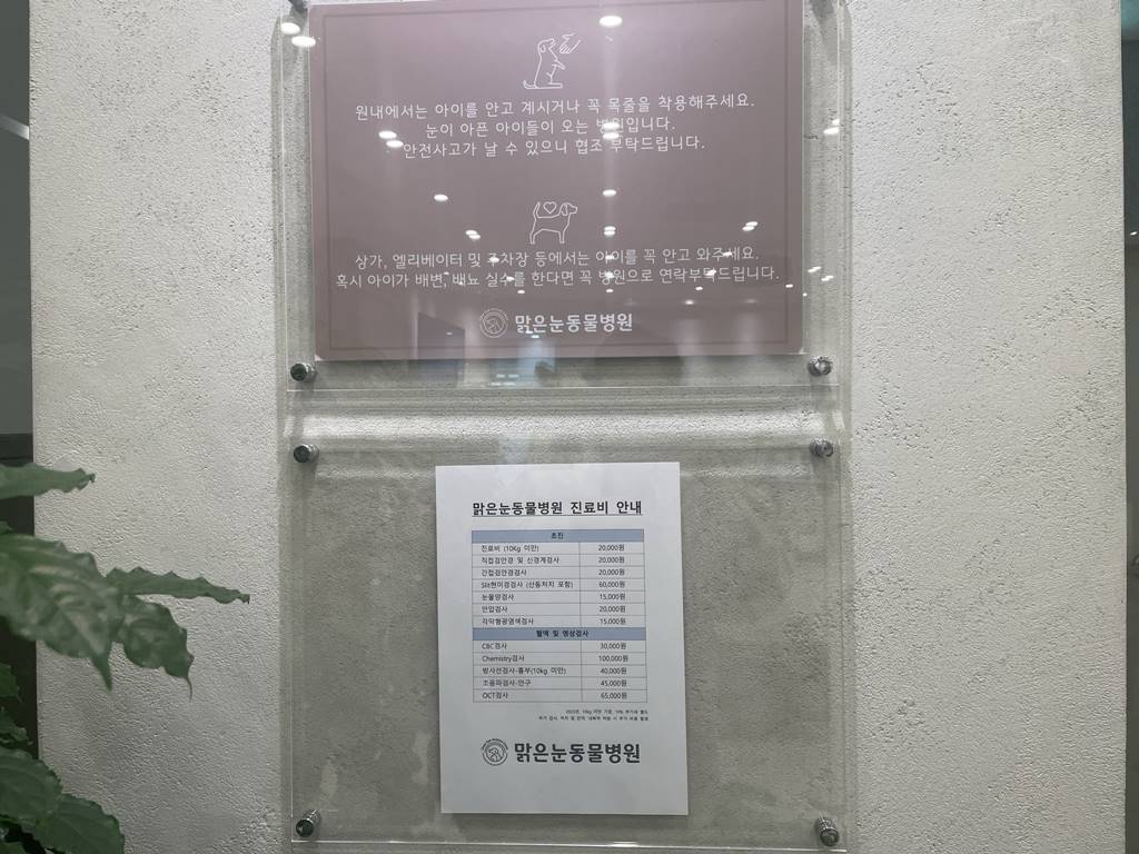 대전 맑은눈 동물병원 강아지 안과 전문 병원