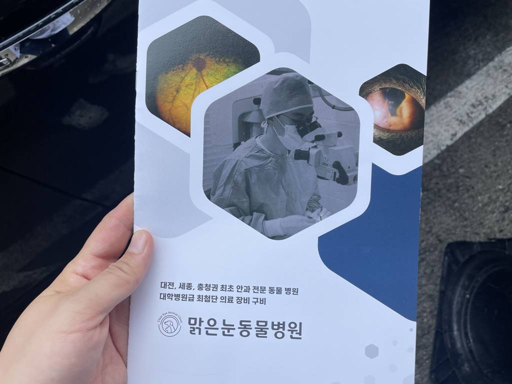 대전 맑은눈 동물병원 강아지 안과 전문 병원