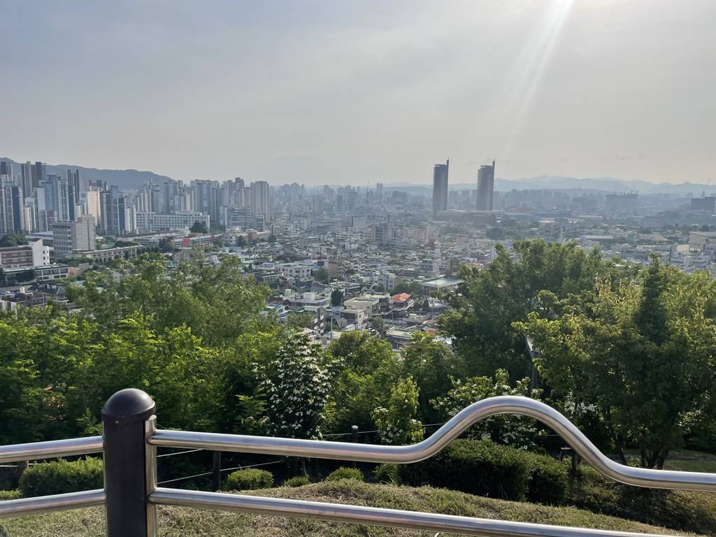 대전 대동하늘공원 반려견 산책 추천