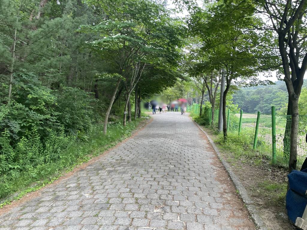 대전 내원사 반려견 동반 가능한 절 ( 사찰 )