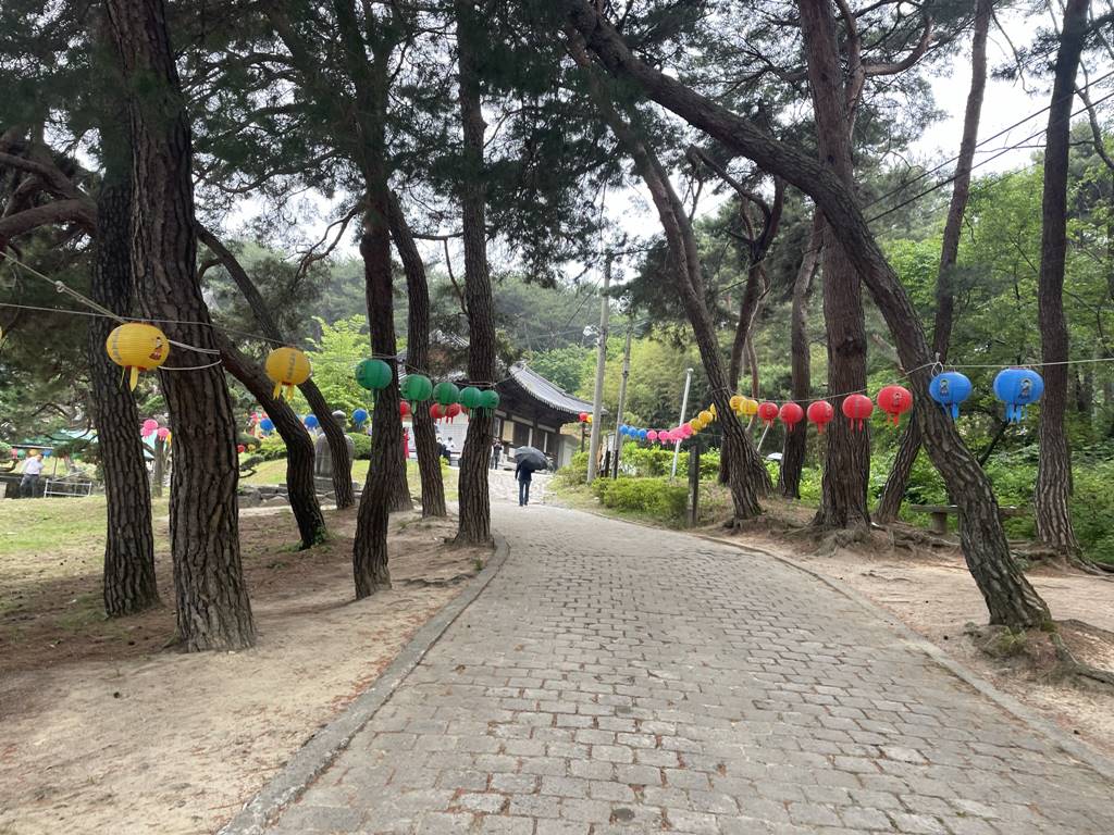 대전 내원사 반려견 동반 가능한 절 ( 사찰 )