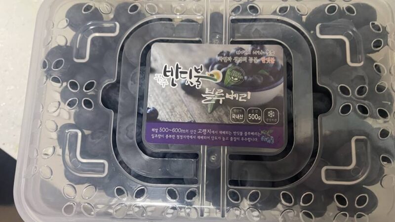 블루베리