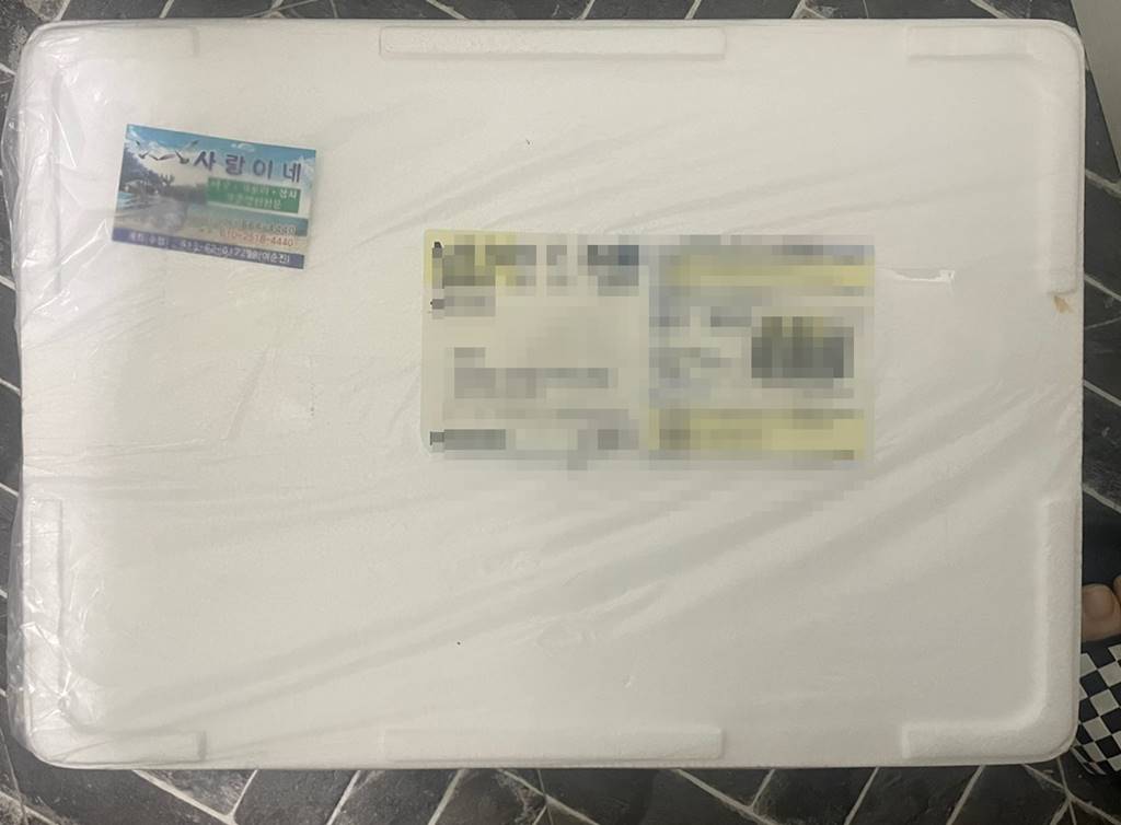 삼치회