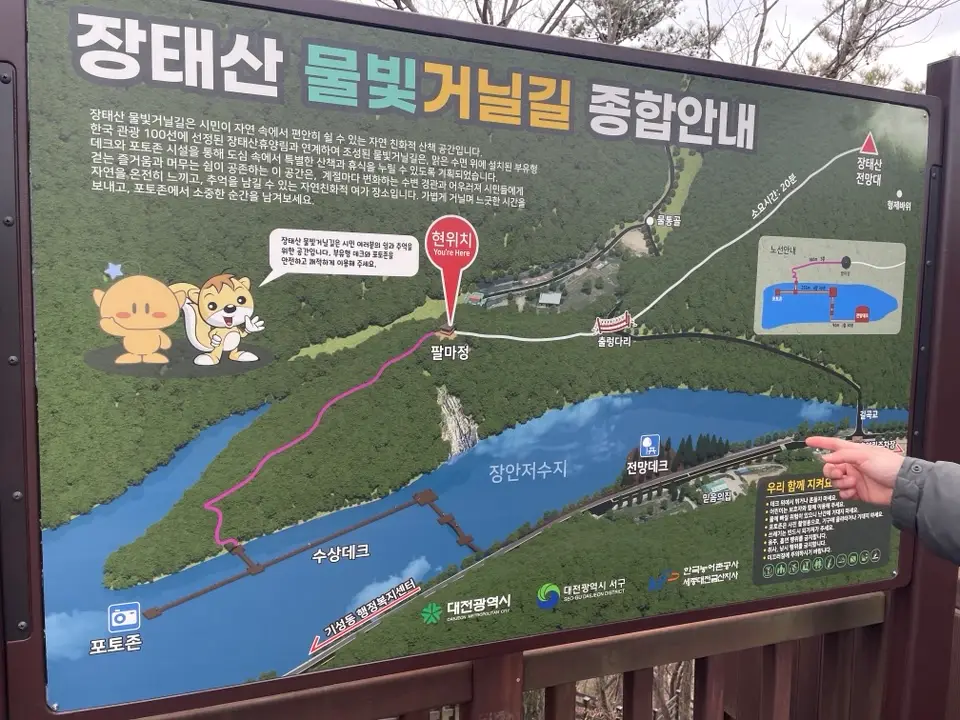 대전 장태산 물빛 거닐길 산책코스 후기 | 강아지와 걷기 좋은 코스·주차