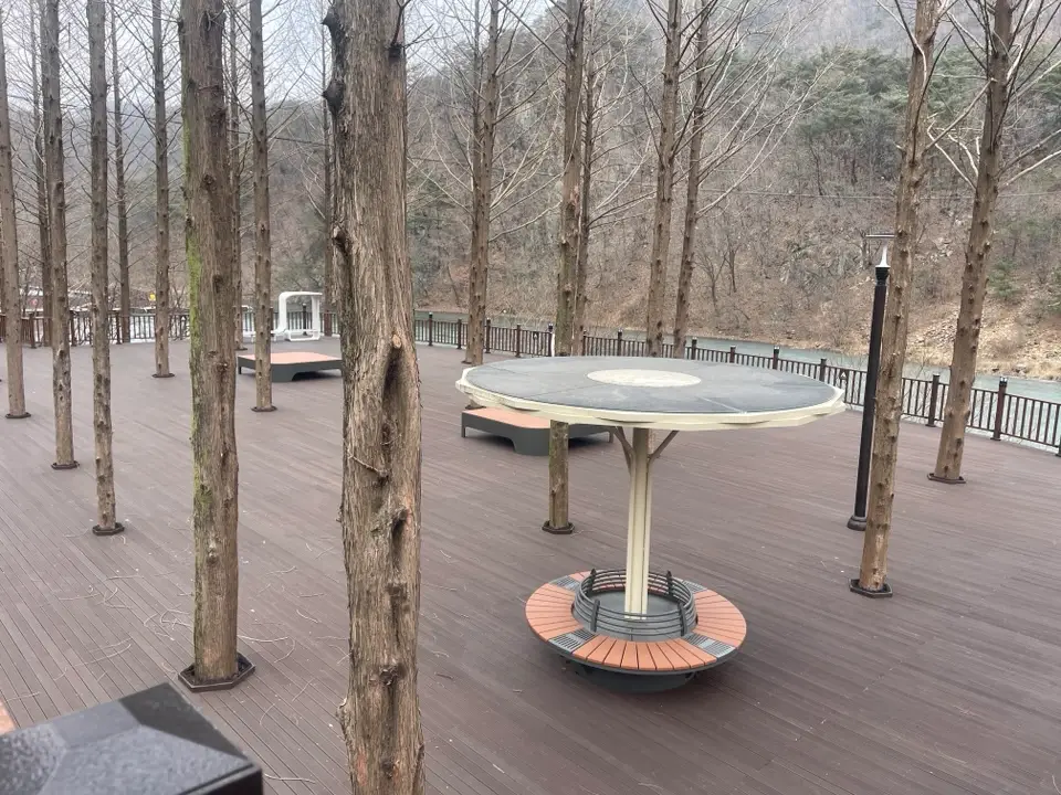 대전 장태산 물빛 거닐길 산책코스 후기 | 강아지와 걷기 좋은 코스·주차