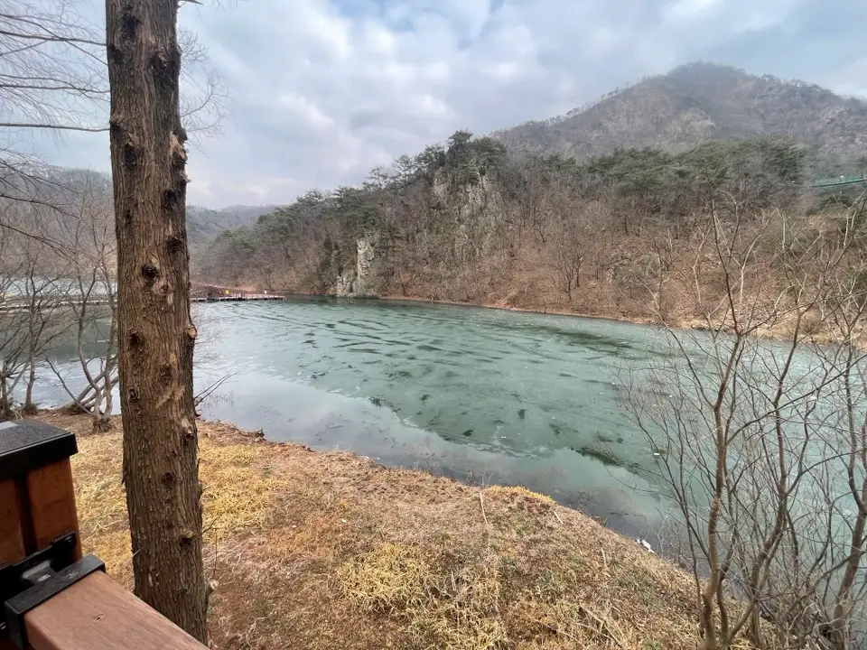 대전 장태산 물빛 거닐길 산책코스 후기 | 강아지와 걷기 좋은 코스·주차