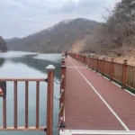 대전 장태산 물빛 거닐길 산책코스 후기 | 강아지와 걷기 좋은 코스·주차