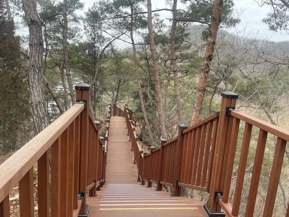 대전 장태산 물빛 거닐길 산책코스 후기 | 강아지와 걷기 좋은 코스·주차