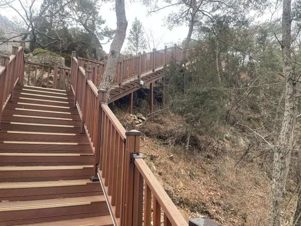 대전 장태산 물빛 거닐길 산책코스 후기 | 강아지와 걷기 좋은 코스·주차