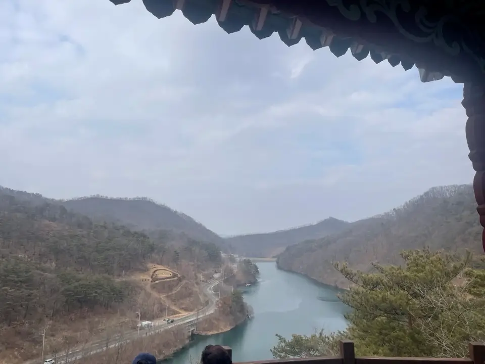 대전 장태산 물빛 거닐길 산책코스 후기 | 강아지와 걷기 좋은 코스·주차